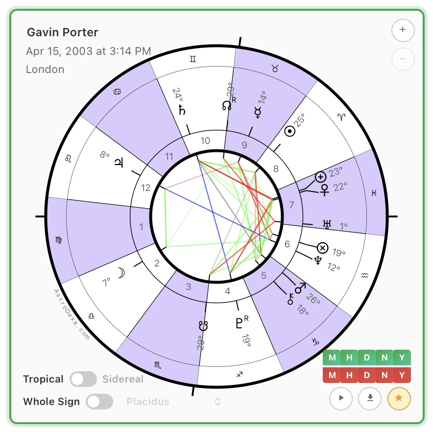 Single natal chart view